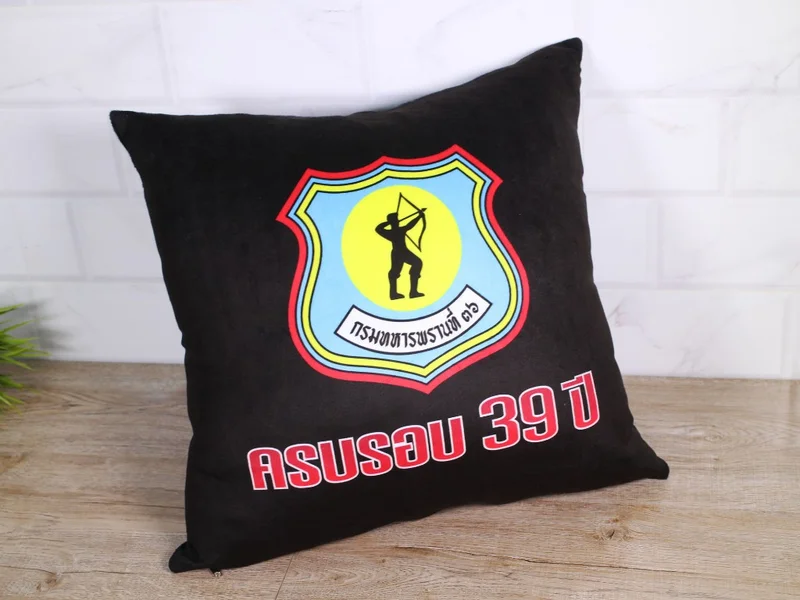 หมอนอิง ผ้าขนนาโน พร้อมไส้ ถอดซักได้ ภาพที่ 2